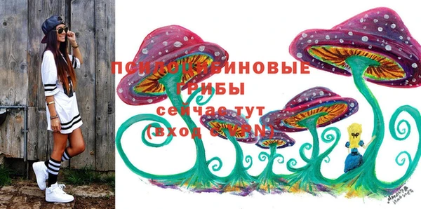 гашик Арсеньев