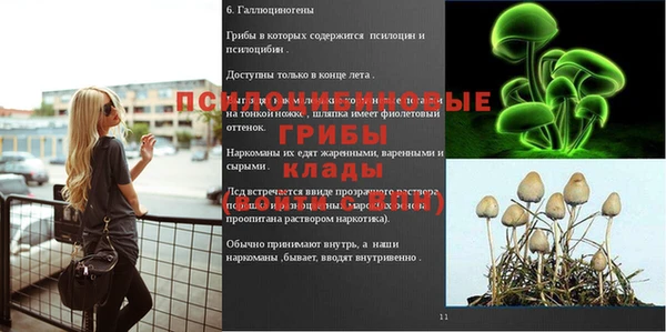 гашик Арсеньев