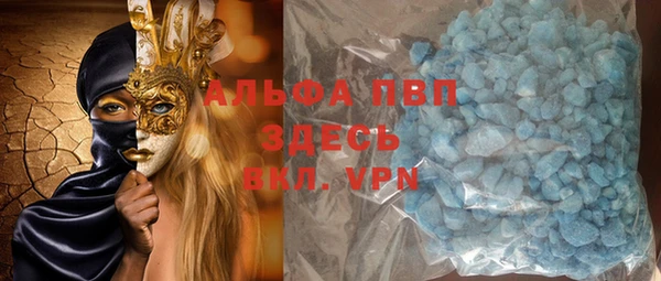 гашик Арсеньев